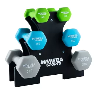 6db-os súlyzókészlet állvánnyal