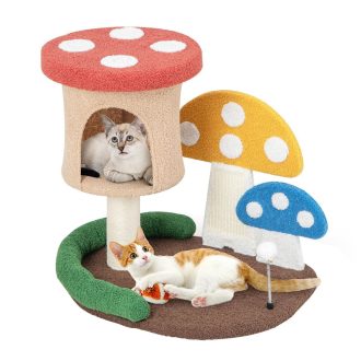 Macska mászóka gomba