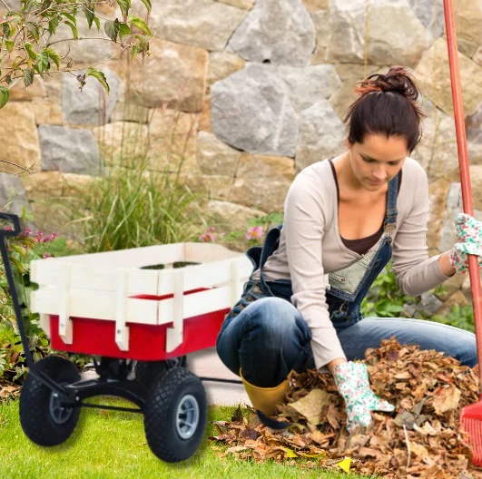 Meditáció és jóga ősszel a szabadban